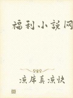 福利小说网封面