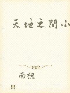 天地之间小说