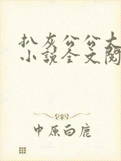 扒灰公公大杂烩小说全文阅读