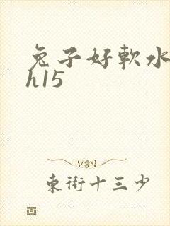 兔子好软水好多h15封面