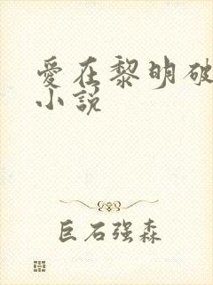 爱在黎明破晓前小说