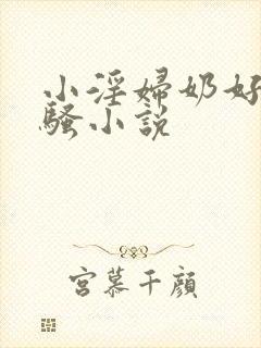 小淫妇奶好大好骚小说