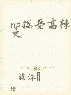 np总受高辣h文