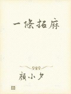 一条拓麻封面