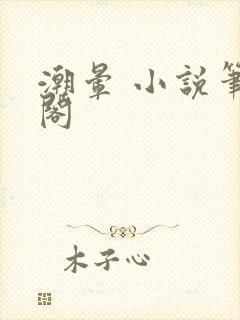 潮晕 小说笔趣阁