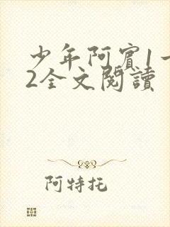 少年阿宾1一72全文阅读封面