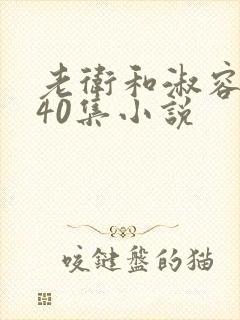 老卫和淑容1-40集小说封面