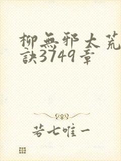 柳无邪太荒吞天诀3749章