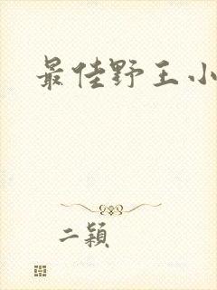 最佳野王小说封面