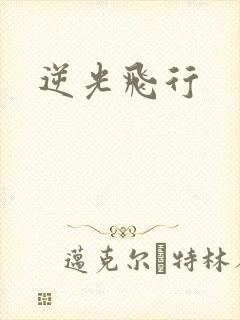 逆光飞行