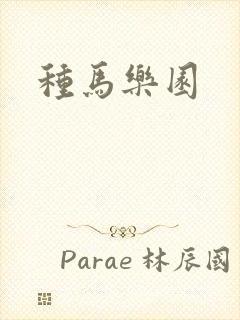 种马乐园封面