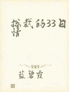 总裁的33日索情