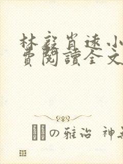 林毅肖远小说免费阅读全文最新章节