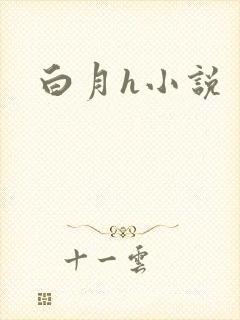 白月h小说封面