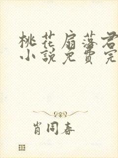 桃花扇落君不还小说免费完整版封面