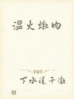 温火炖肉