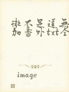 微不足道无删减加番外txt全文免费阅