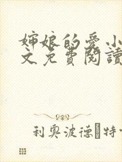 婶娘的爱小说全文免费阅读