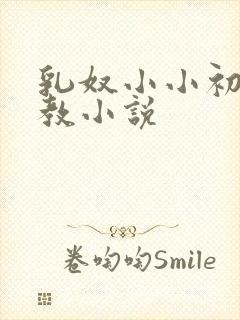 乳奴小小初尝调教小说封面