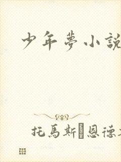 少年梦小说