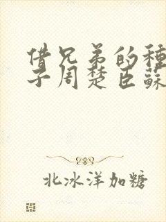 借兄弟的种生孩子周楚臣苏糖