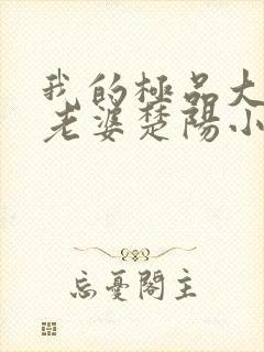 我的极品大小姐老婆楚阳小说阅读封面