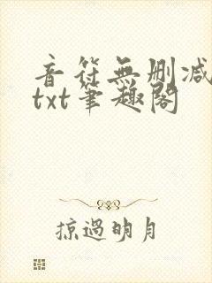音符无删减全文txt笔趣阁封面