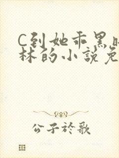C到她乖黑暗森林的小说免费封面