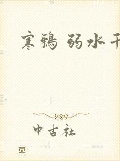寒鸦 弱水千流