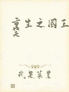 重生之国王的微笑封面