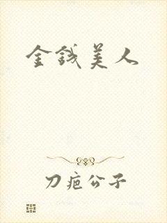 金钱美人封面