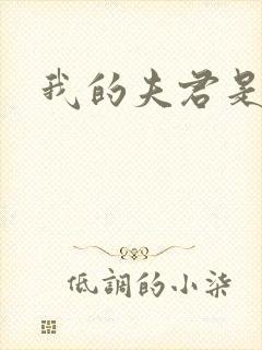 我的夫君是冥王