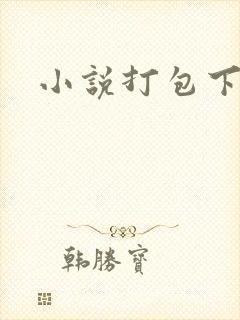 小说打包下载