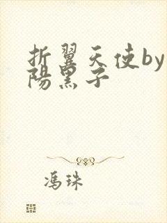 折翼天使by太阳黑子封面