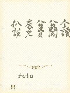 扒灰公公全部小说免费阅读全文封面