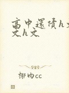 高中还债h文黄文h文