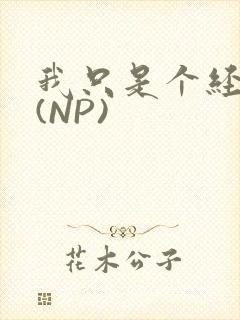 我只是个经纪人(NP)