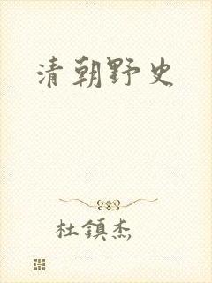 清朝野史
