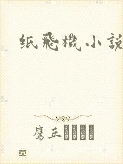纸飞机小说封面