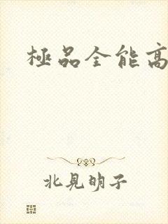 极品全能高手