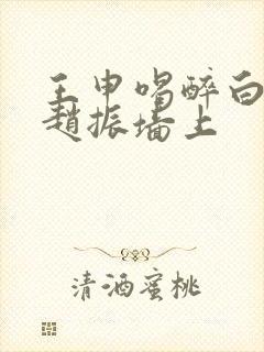 王申喝醉白洁被赵振墙上