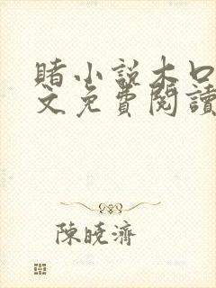 赌小说木口银全文免费阅读笔趣阁