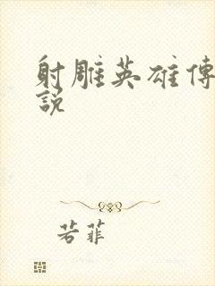 射雕英雄传 小说封面