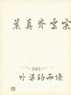 叶真齐云宗免费封面