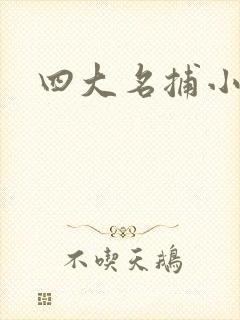 四大名捕小说