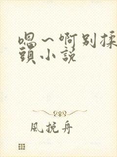 嗯～啊别揉我奶头小说