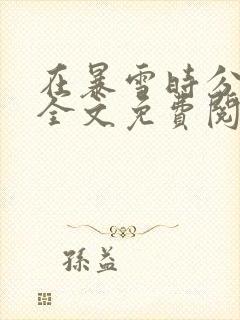 在暴雪时分小说全文免费阅读