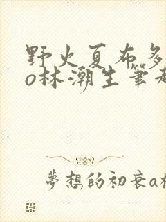 野火夏布多昂po林潮生笔趣阁封面