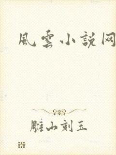 风云小说网封面