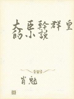 大臣干群皇太后的小说封面